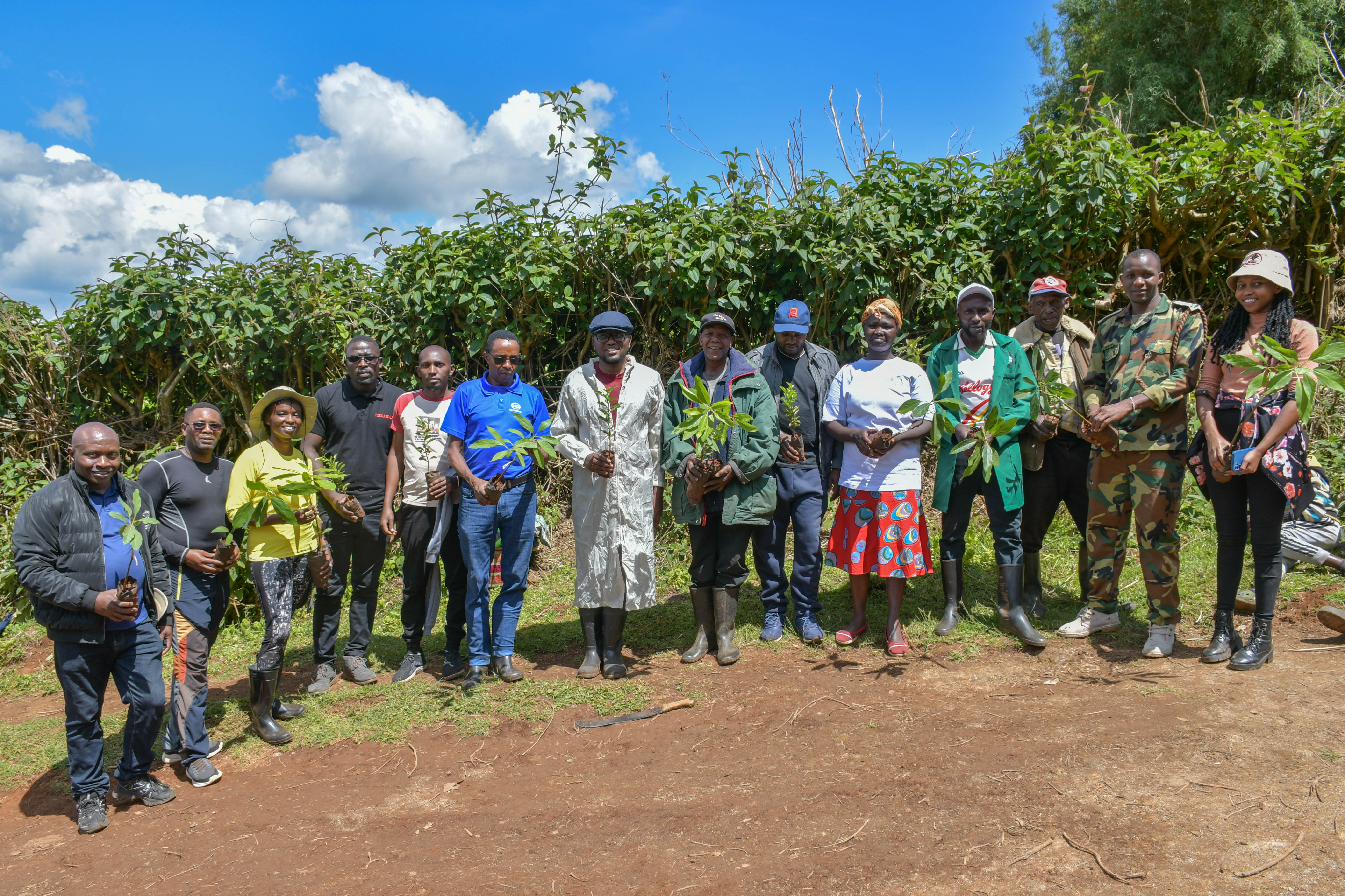 Community Tree Planting